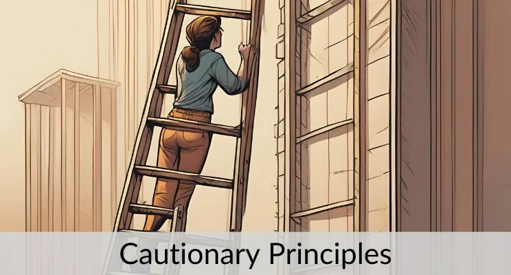 Cautionary Principles by Karl Bimshas Consulting