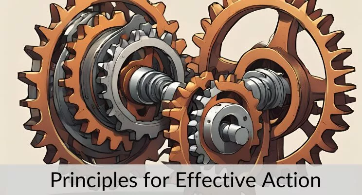 Principles for Effective Action by Karl Bimshas Consulting